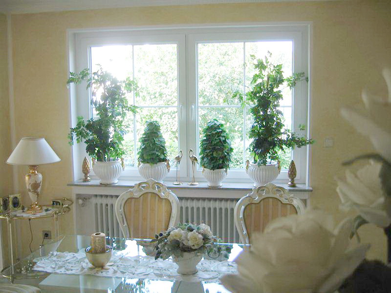 grün dekorierte perfecta Fenster