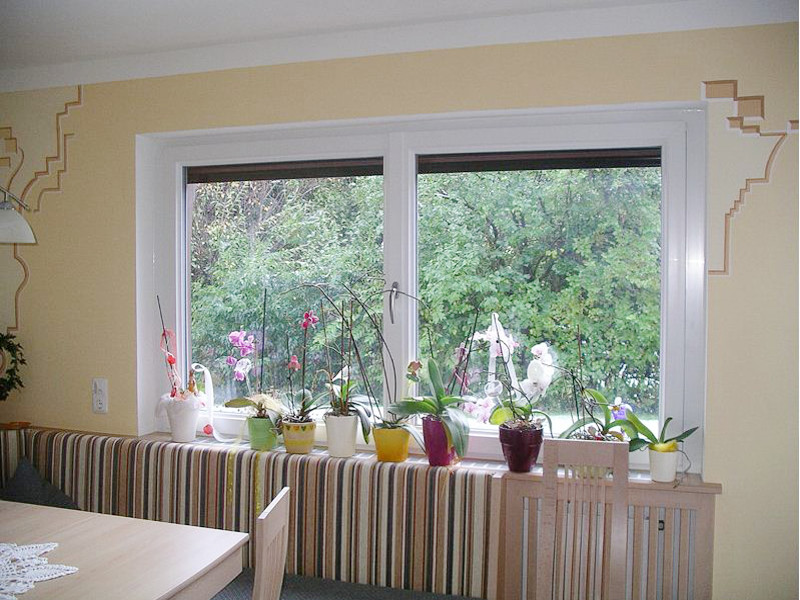 perfecta Fenster und Orchideen