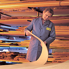 Holzarten für die Gestaltung von Perfecta Innentüren